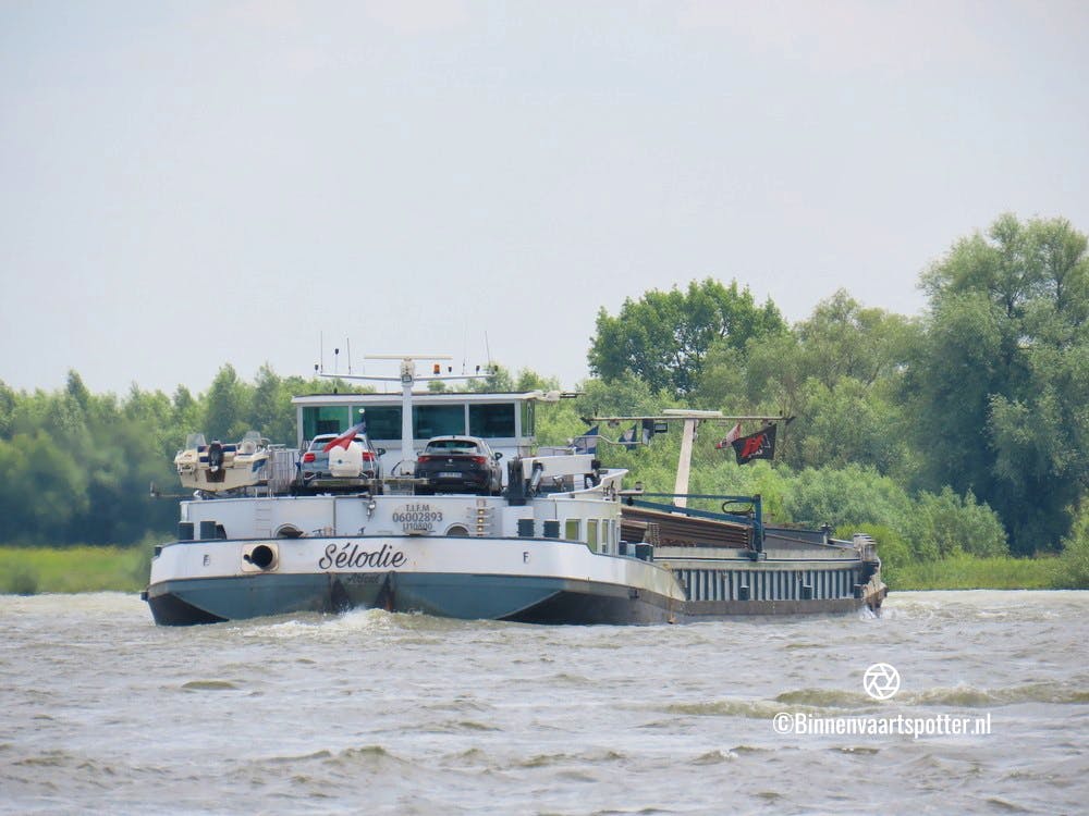 Selodie — thumbnail 2